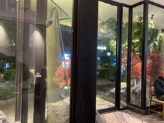 -院里寻菜·精致庭院菜(观沙岭店)