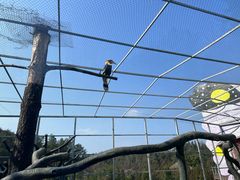 -贵州森林野生动物园