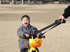 -石家庄市植物园