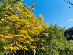 -秦岭终南山世界地质公园翠华山景区