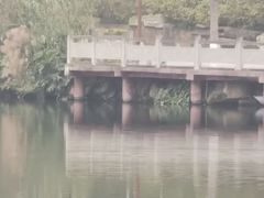 -重庆彩云湖湿地公园