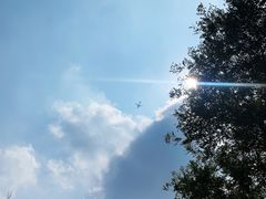 -大兴滨河森林公园