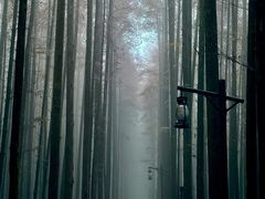 -山王坪喀斯特国家生态公园