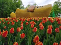 -长春公园(普阳街道)