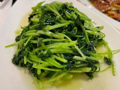 有机蔬菜-丁老爷子苏香圆