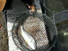 -海上驿站渔家菜馆