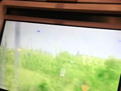 -狼爱上羊音乐火锅