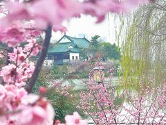 -月湖风景区