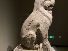 -河南博物院