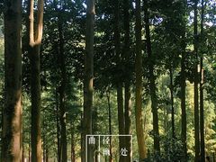 -广州市帽峰山景区