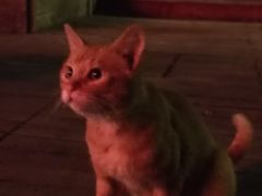 -吉友粥底火锅(方斜路店)