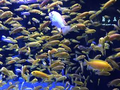 -成都浩海立方海洋公园