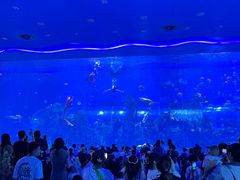 -石家庄极地海洋世界