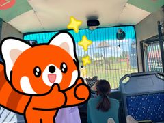 -鄂尔多斯野生动物园