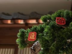 -揽季锅物会.福建黄鱼.海鲜姿造(五四路店)