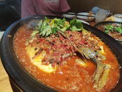 砂锅全鱼-陶德砂锅(蜀汉路店)