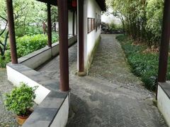 -上海醉白池公园