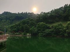 -桃花岭景区