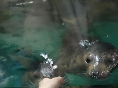 -嘉兴海底世界