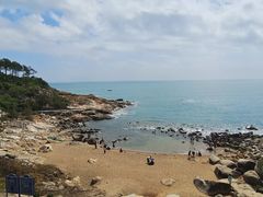 -广东惠东海龟国家级自然保护区