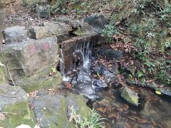 -广州市白云山风景名胜区
