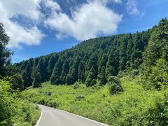 -武陵山森林公园