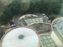 -南京维景国际大酒店(南京博物院店)