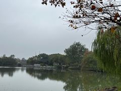 -昆山城市生态森林公园