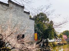 -张公山寨景区