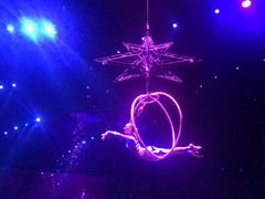 -珠海横琴长隆《卡卡虎奇遇记》