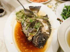 -沙龙酒家