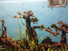 -多彩贵州城极地海洋世界