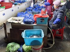 -陈家镇裕安农贸市场