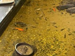 -邈墨茶馆(凤起路店)