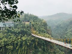 -川西竹海景区
