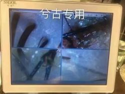 点击看大图 -张昊造型