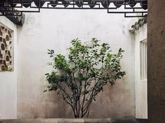 -拙政园
