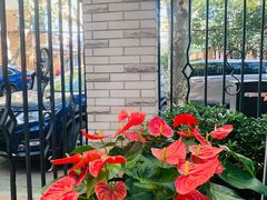 -玫瑰厅上海菜(兴国路店)