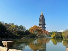 -红梅公园