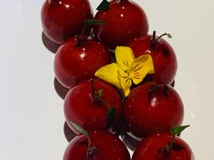 樱桃鹅肝-玫瑰厅上海菜(兴国路店)