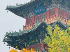-迎泽公园