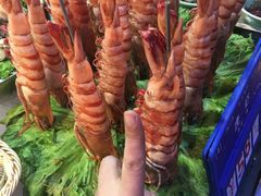 -开海·红岛海鲜虾水饺(石老人店)