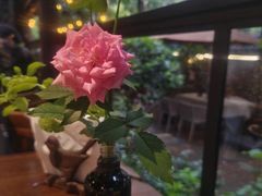 -宝翠花园餐厅(沙湖店)