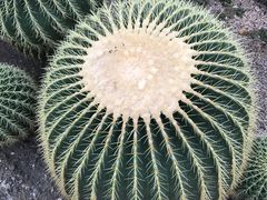 -北京植物园-展览温室