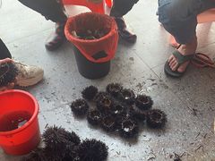 -众味海鲜大排档·活海鲜·潮汕味(南澳店)