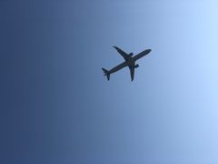 -龙大花卉苗木市场