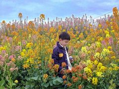 -三圣花乡旅游区
