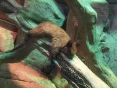 -福州罗源湾海洋世界旅游区