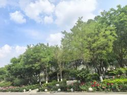 点击看大图 -宝馨月月子中心(友谊医院店)