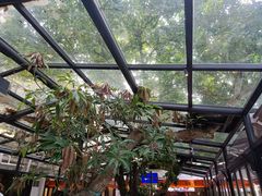 -海岛八号龙虾烧烤田鸡(蓝天路总店)